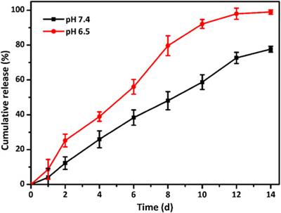 Alendronate-functionalized double network hydrogel scaffolds for effective osteogenesis